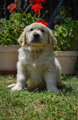 Athos